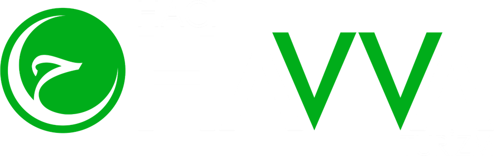 Hacı Havva Turizm